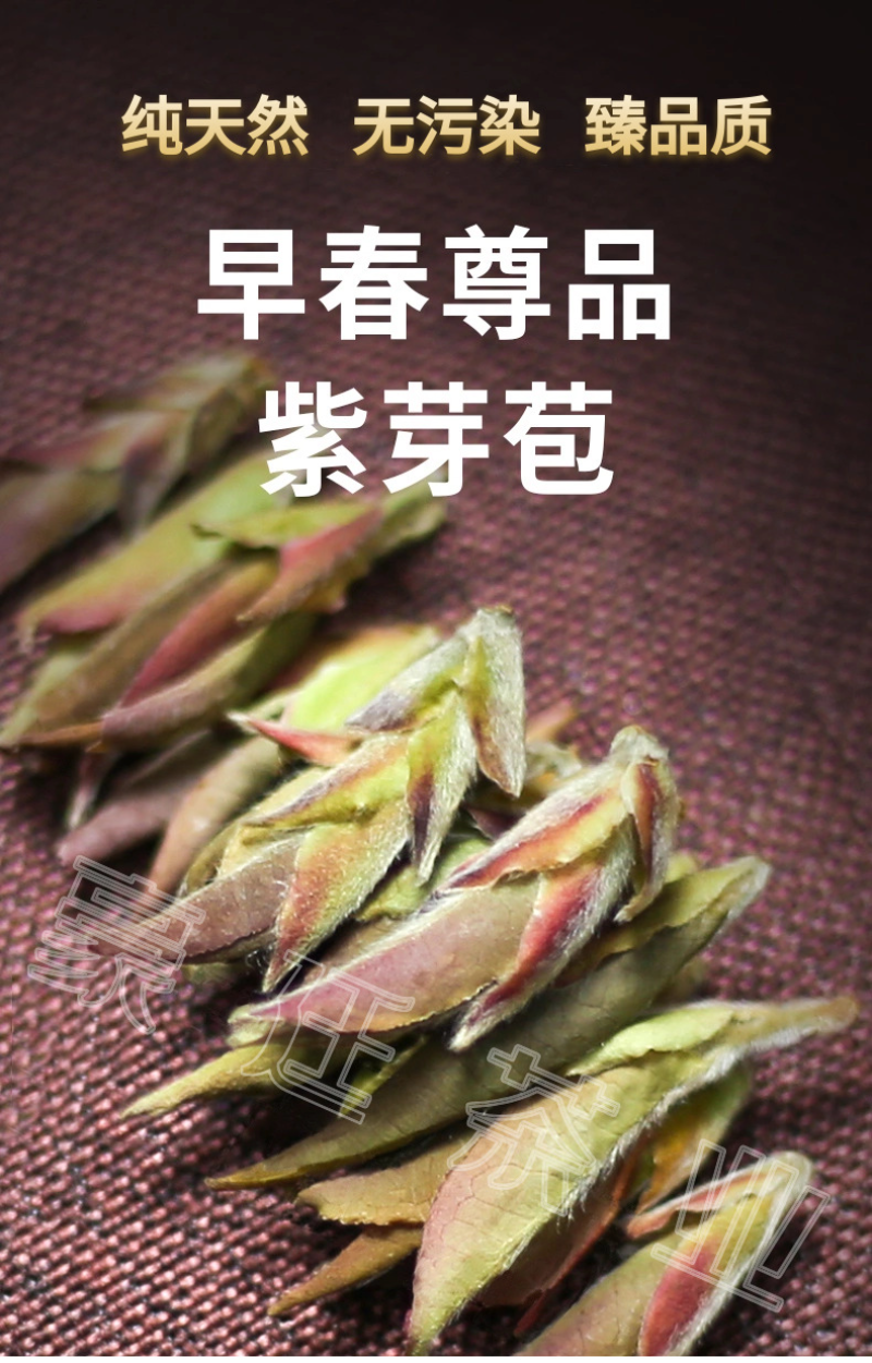 Thé Pu'er bourgeon violet début du printemps nouveau thé thé au nectar Mingqian