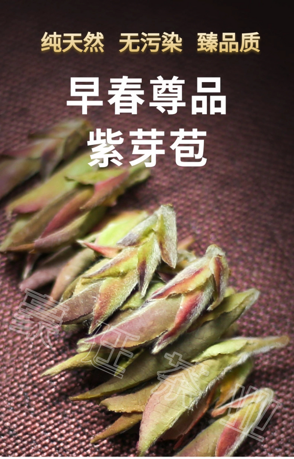 Thé Pu'er bourgeon violet début du printemps nouveau thé thé au nectar Mingqian