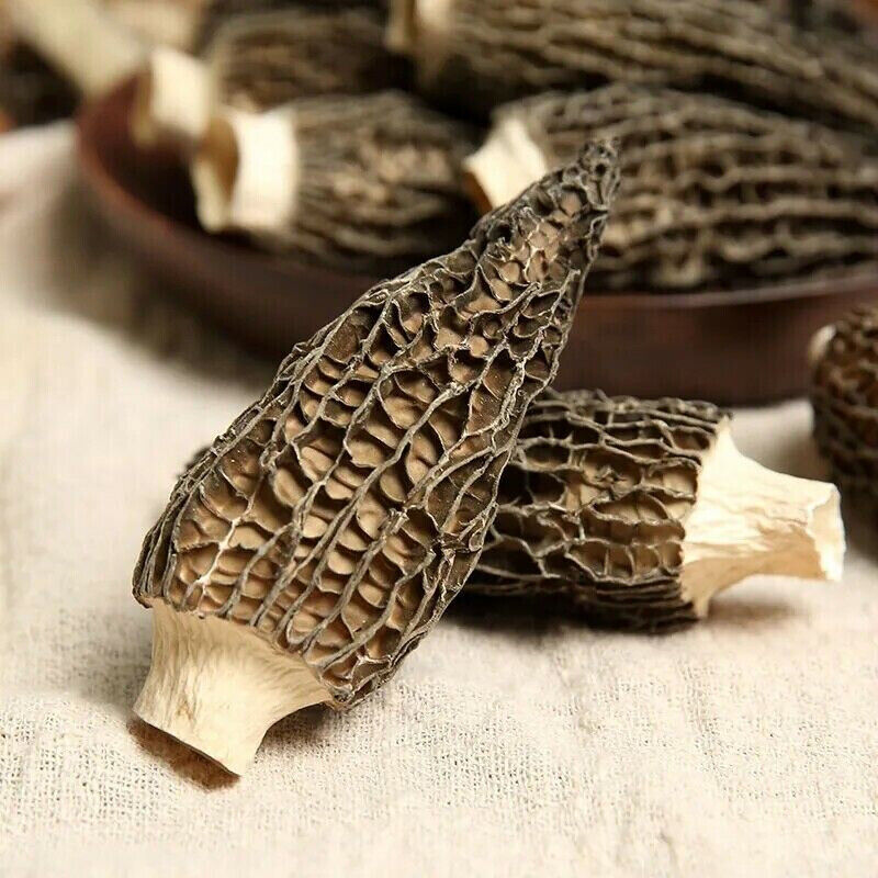 HelloYoung High Quality MOREL-DRIED-MUSHROOMS Natural Chinese Specialty Original 50g 羊肚菌 Main image