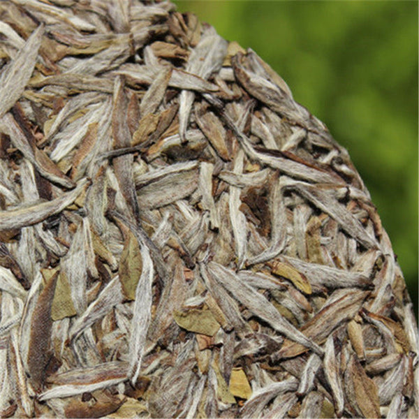HelloYoung300g Old Fuding white tea cake natural organic Chinese white tea silver needle