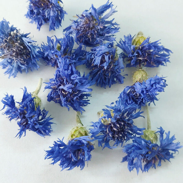 HelloYoung Cornflower petals new stock cornflower dried flowers bulk cornflower 17.6oz