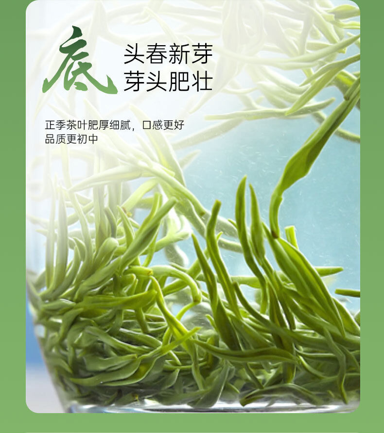 Chinese Biluochun Green Tea Fresh Green Tea Sweet Tea 50g