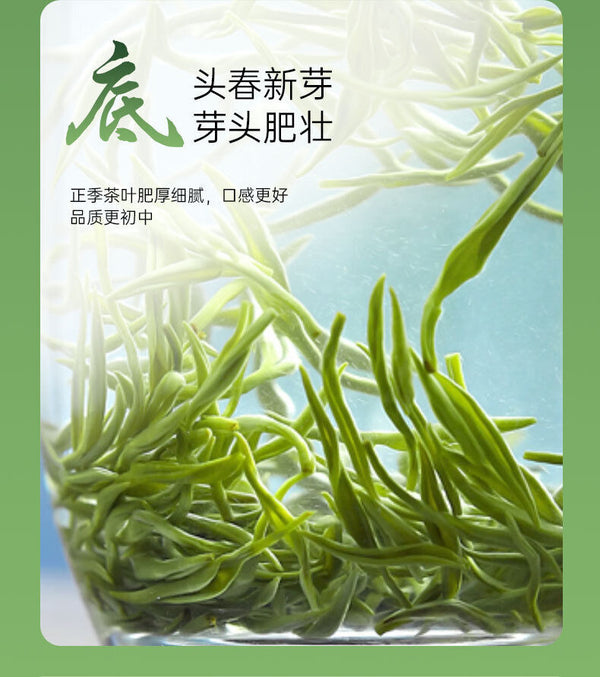 Chinese Biluochun Green Tea Fresh Green Tea Sweet Tea 50g
