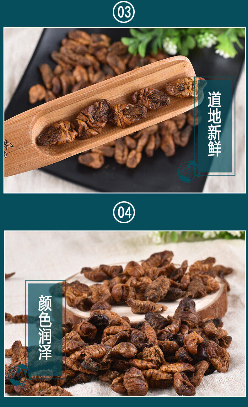 HelloYoung Dried Cicada Chrysalis Dried Silkworm Chrysalis Chinese Herbs 500g/1.1lb