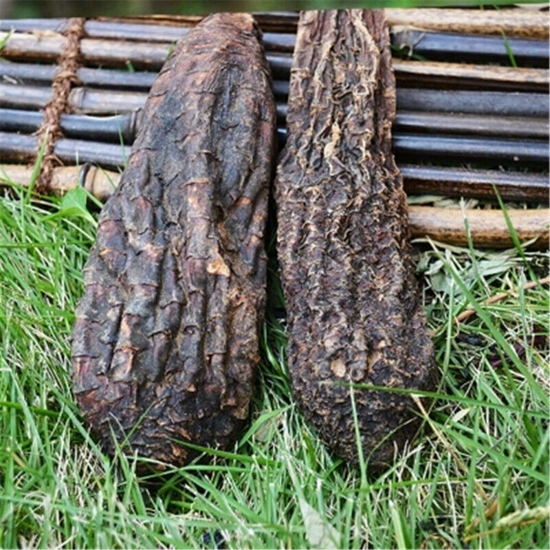 HelloYoung Rou Song Rong Sinkiang Wild Desertliving Cistanche Ecology Herb Tonic500g/1000g Main image