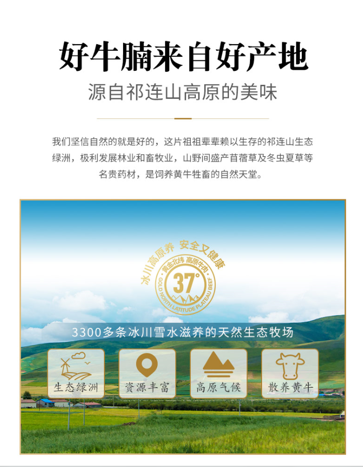 300g Convenient Meal Braised Beef Canned Ready-to-Eat Pure Beef Meat