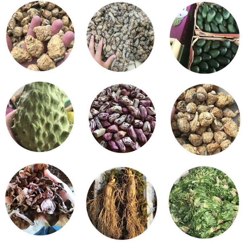 Ginkgo Biloba Extract Water Soluble Rich in Flavonoids Memory & Focus Support