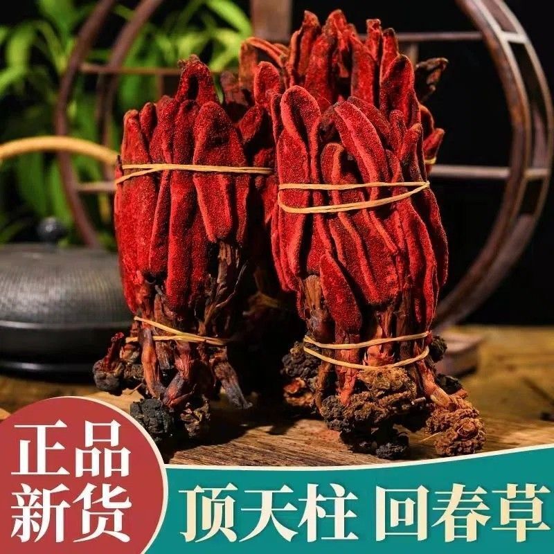 Rejuvenation Herb Tea Dingtianzhu Amaranth Cistanche and Ageless Grass Men's Tea Main image