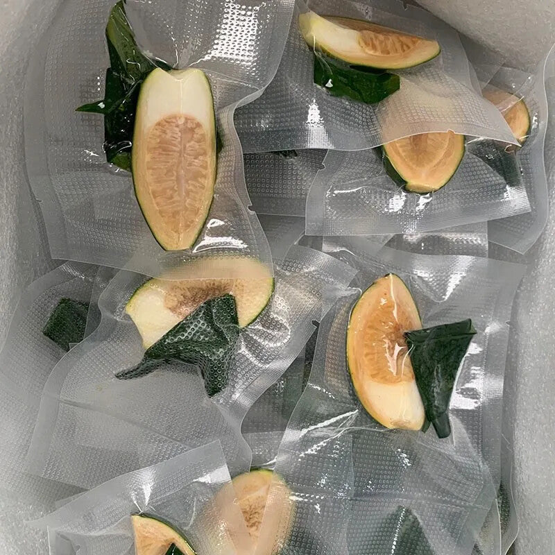 Young Baby Betel Nuts Areca Catechu nut - 01 Pack(150 pcs) Free Shipping