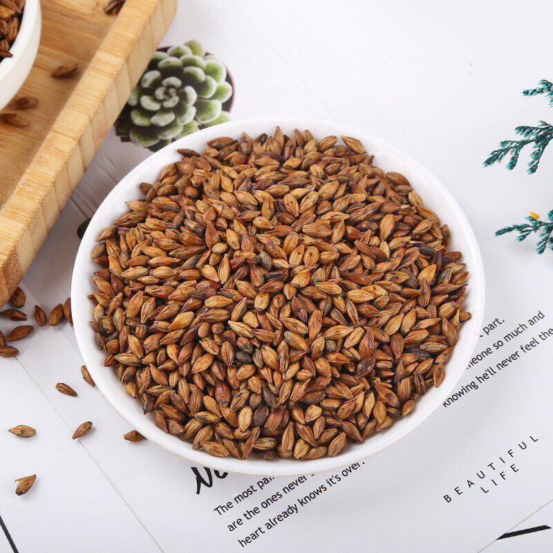 Bulk Barley Tea Roasted Barley Tea 500g Secondary image