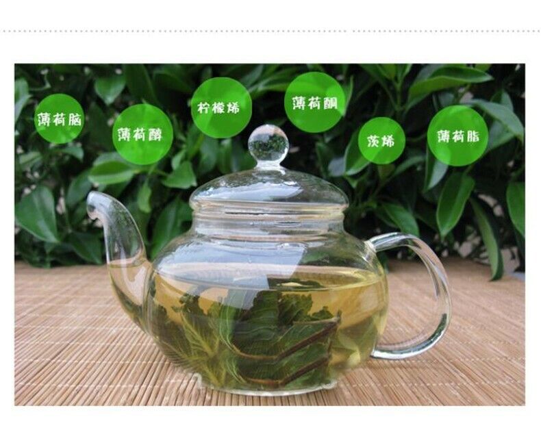 HelloYoung Premium Cool Mint Tea Herbal Tea Reduce Liver Fire Mint Leaves Wild Mint tea 50g