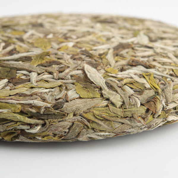 HelloYoung Slimming Tea Healthy Drink Alpine Sun-dried White Tea Fuding White Tea Cake 300g
