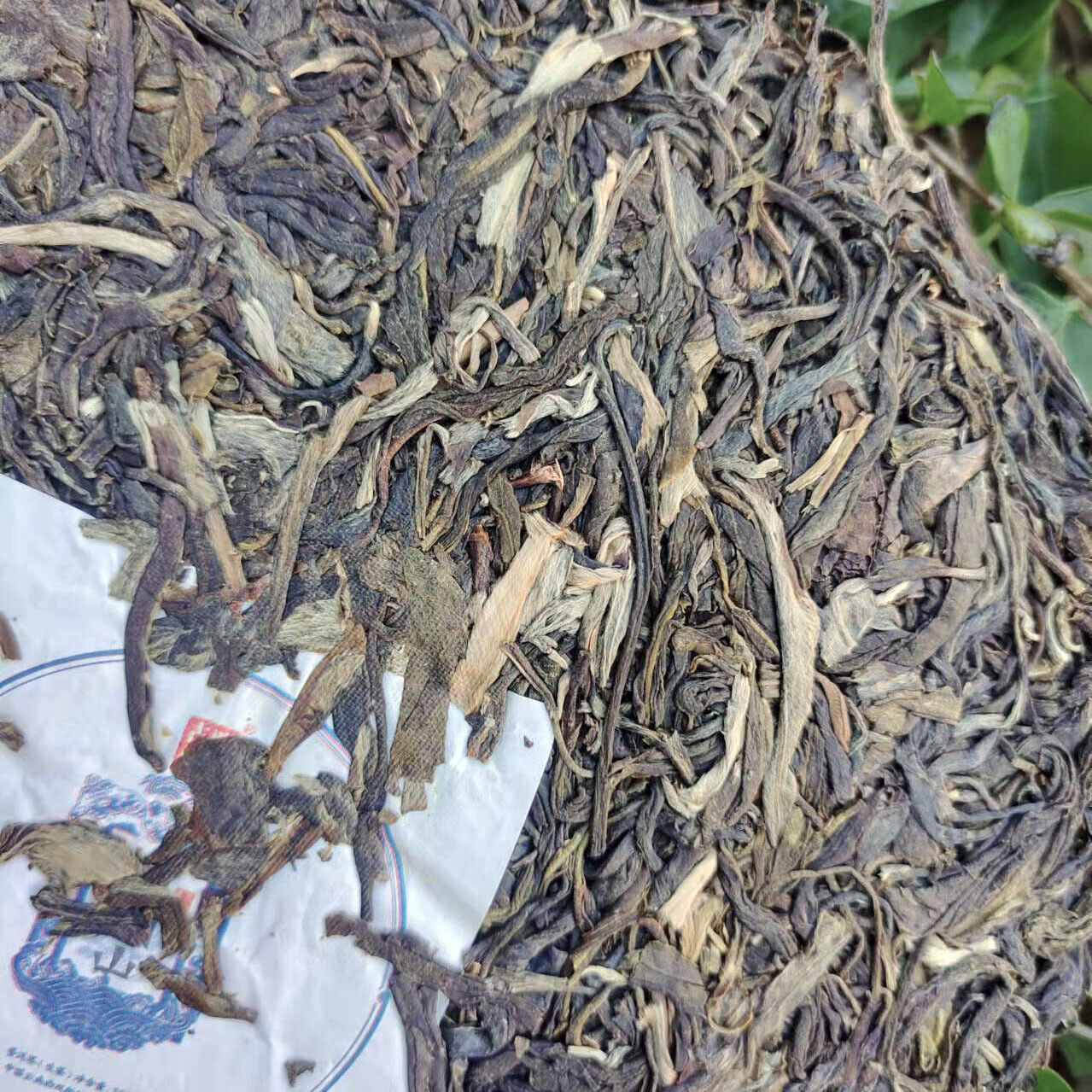 Pu'er Raw Tea Cake Pu'er Tea Brown Mountain Ancient Tree Tightly Pressed 357g Secondary image