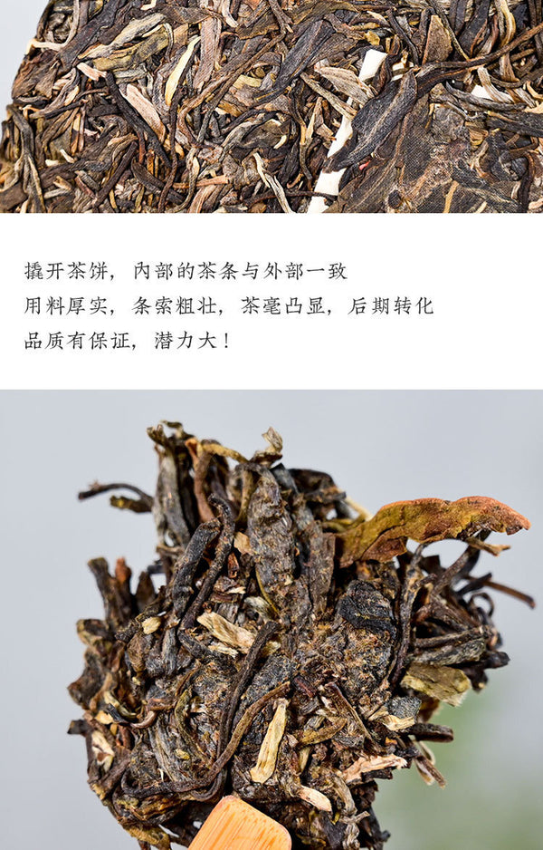 357 g Daxueshan Ancient Tree Pu'er Tea Raw Tea Yunnan Pu'er Tea Spring Tea