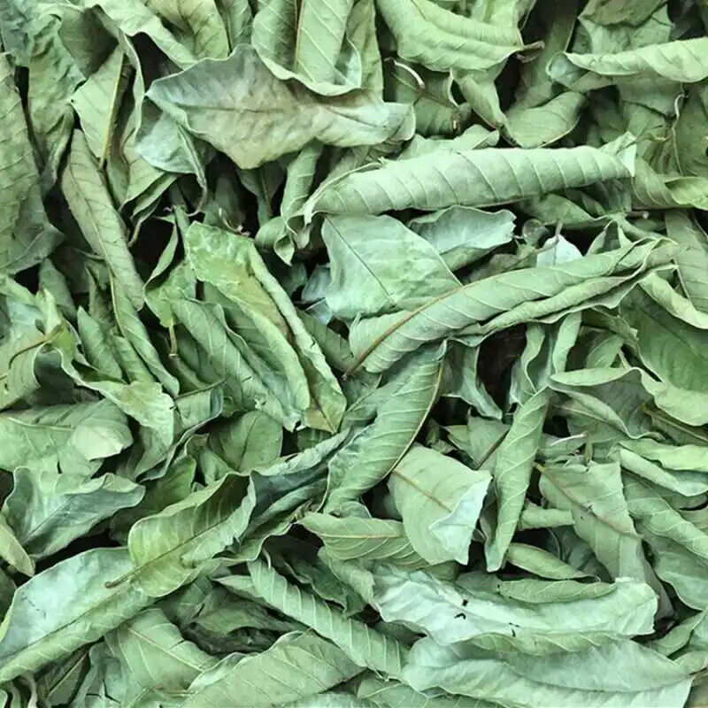 Fan Shi Liu Ye Bulk Tea Organic Chinese Fresh Dried Guava Loose Leaf Herbal Tea Secondary image