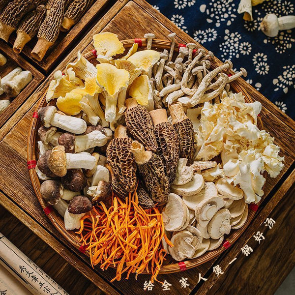 Yunnan Morel & Lion's Mane Soup Base – Freeze-Dried Seasoning for Stews