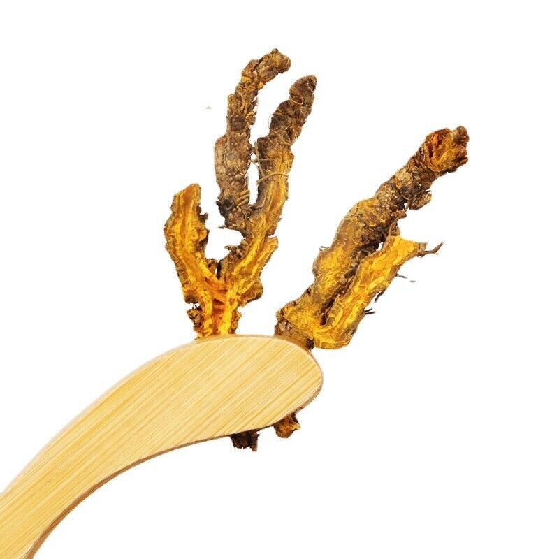 HelloYoung Chinese Herbal Medicine Huanglian Monocotyledon Yellow Lian Selected Slices 500g