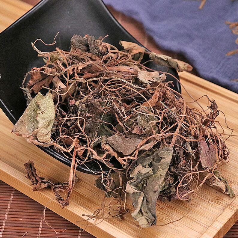 Organic Dried Saxifraga Stolonifera, Herba Saxifragae, Saxifrage