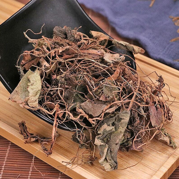Organic Dried Saxifraga Stolonifera, Herba Saxifragae, Saxifrage