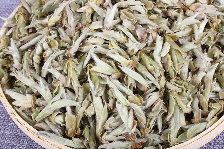 HelloYoung Yunnan Tea Daxue Mountain Early Spring White Buds Old Tree Puerh Raw Tea 500g