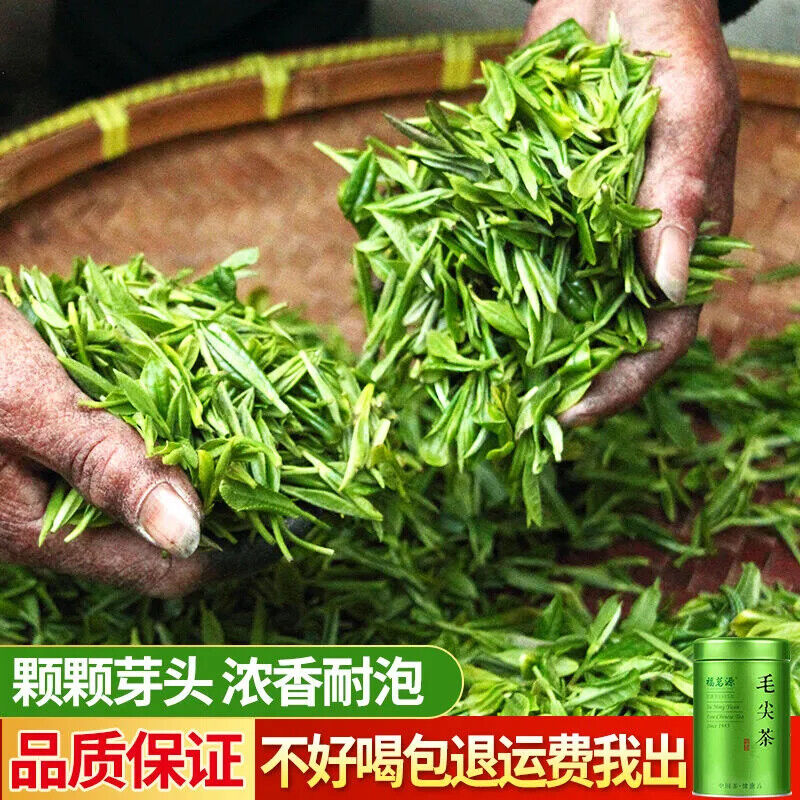 HelloYoung New Maojian Green Tea Strong Flavor Tea 125g