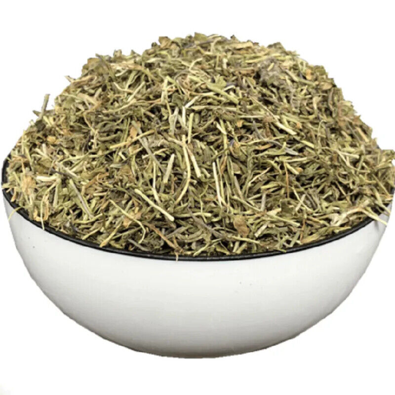 Lobelia Herb Dried Lobelia inflata 500g Apothecary Herbal