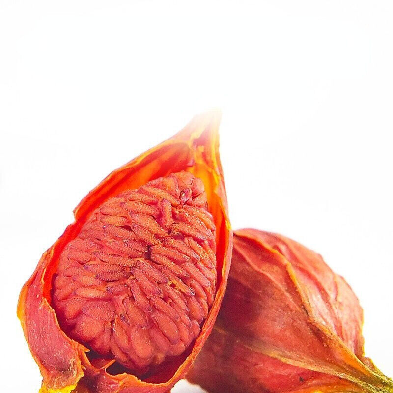 HelloYoung Natural Cape Jasmine Fruit Gardenia Zhi Zi 100% Chinese Ecology Herbs Particles Secondary image