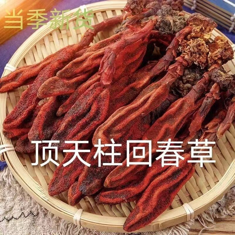 Rejuvenation Herb Tea Dingtianzhu Amaranth Cistanche and Ageless Grass for men Secondary image