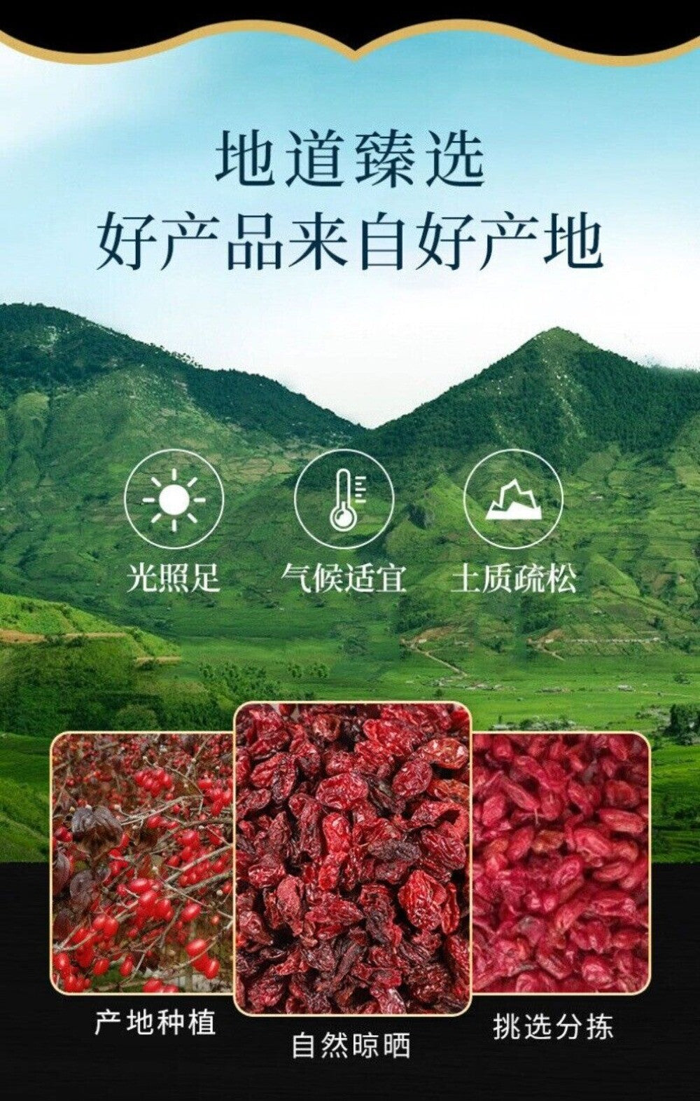 Whole Powdered Cornus Officinalis Premium Chinese Medicinal Herb