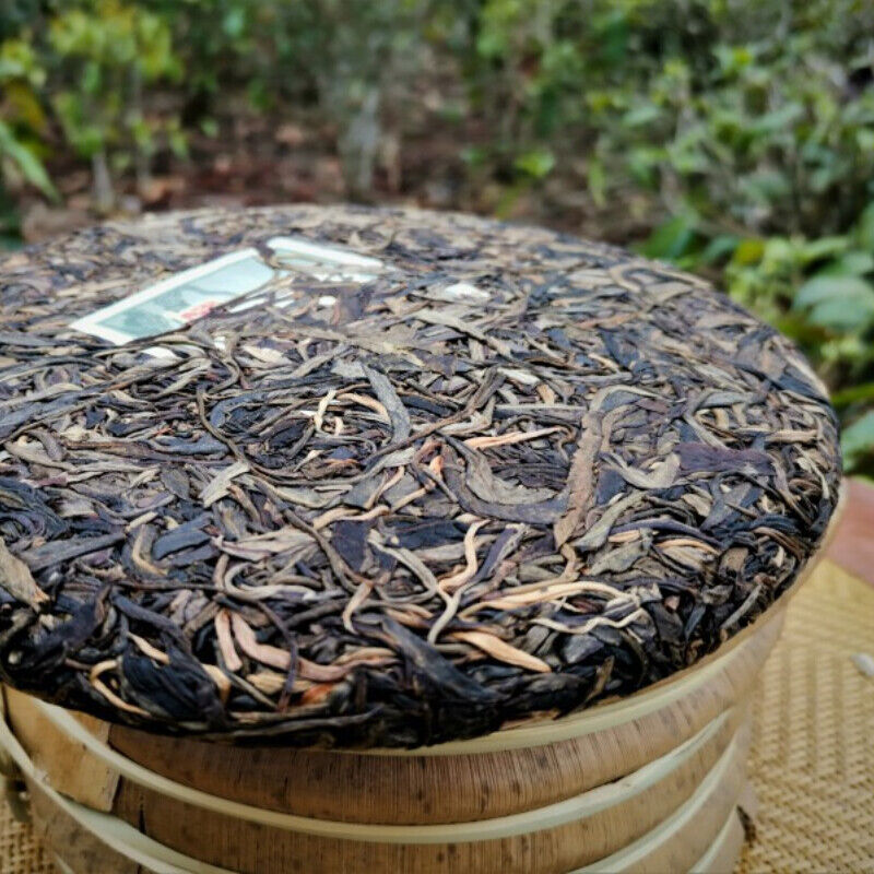 HelloYoung Green Tea Organic Aged Old Tea Cake Original Gaoligong Mountain Pu'er Tea 357g