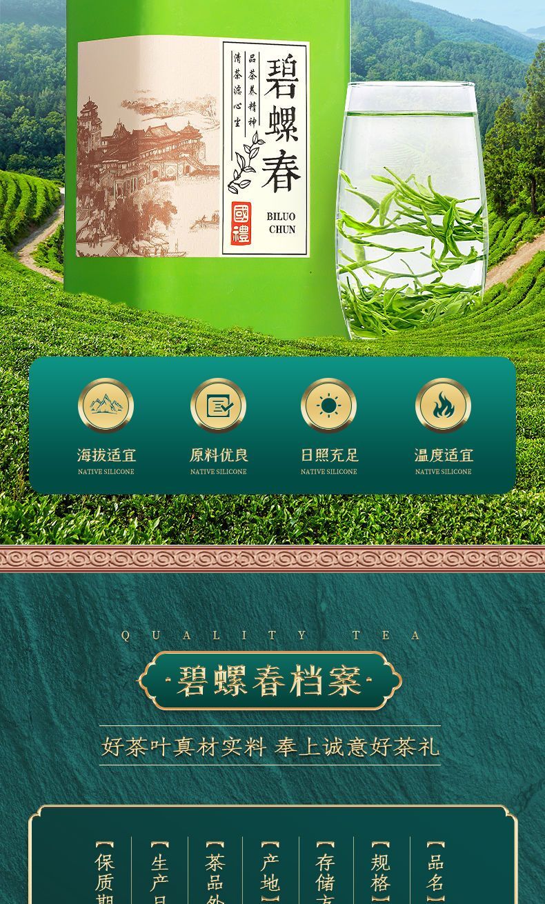 Green Tea Biluochun 2023 New Tea Authentic Strong Aroma High end Gift Box 250g