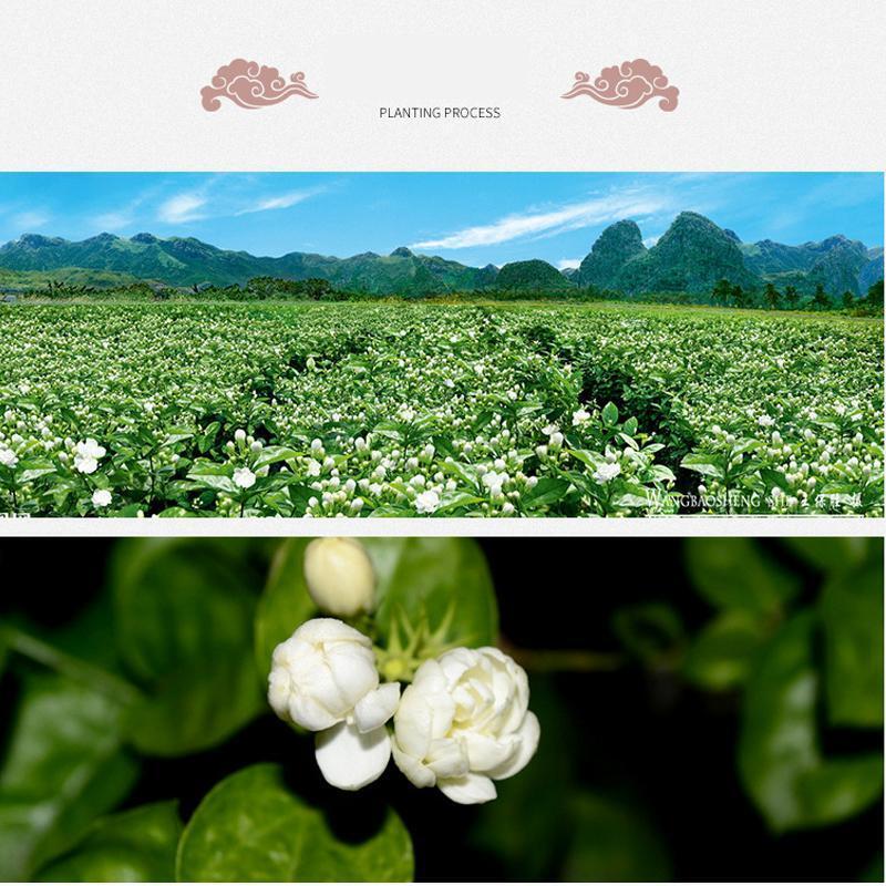 Jasmine Tea Jasmine Flower Jasmine Bud Flower Tea
