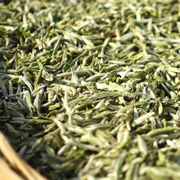 HelloYoung 500gFuding Old White Tea Bamboo Leaves or Bamboo Shell Packaging Gift Tea