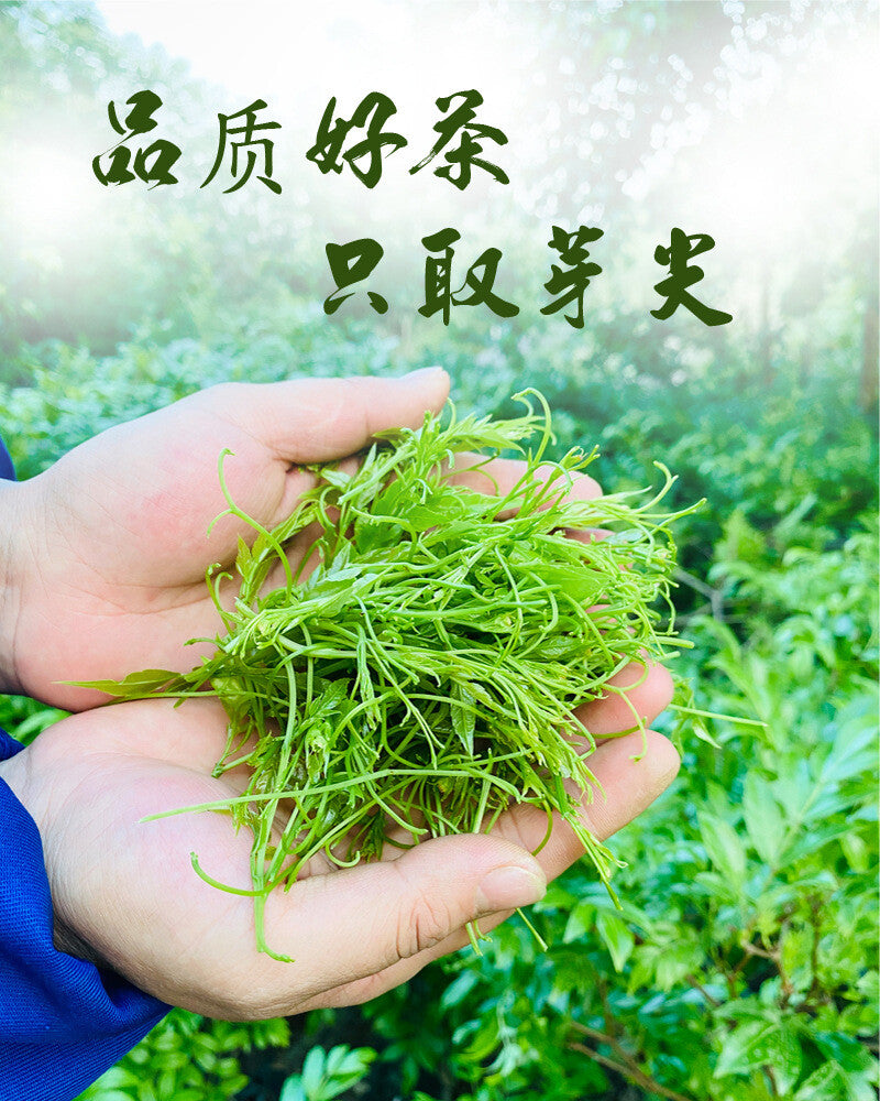 Zhangjiajie Vine Tea Canned Tujia Mao Rock Bud Tip Vine Tea Wild Tea Buds 50g