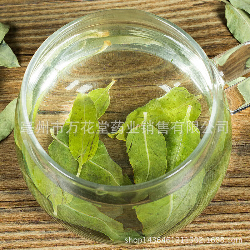 Apocynum Venetum Leaf Chinese Herbal Tea Health Tea