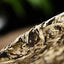 HelloYoung Yunnan Pu'er Tea Moonlight White Puerh Tea Green Tea Big Bud Puerh Tea Cake 357g