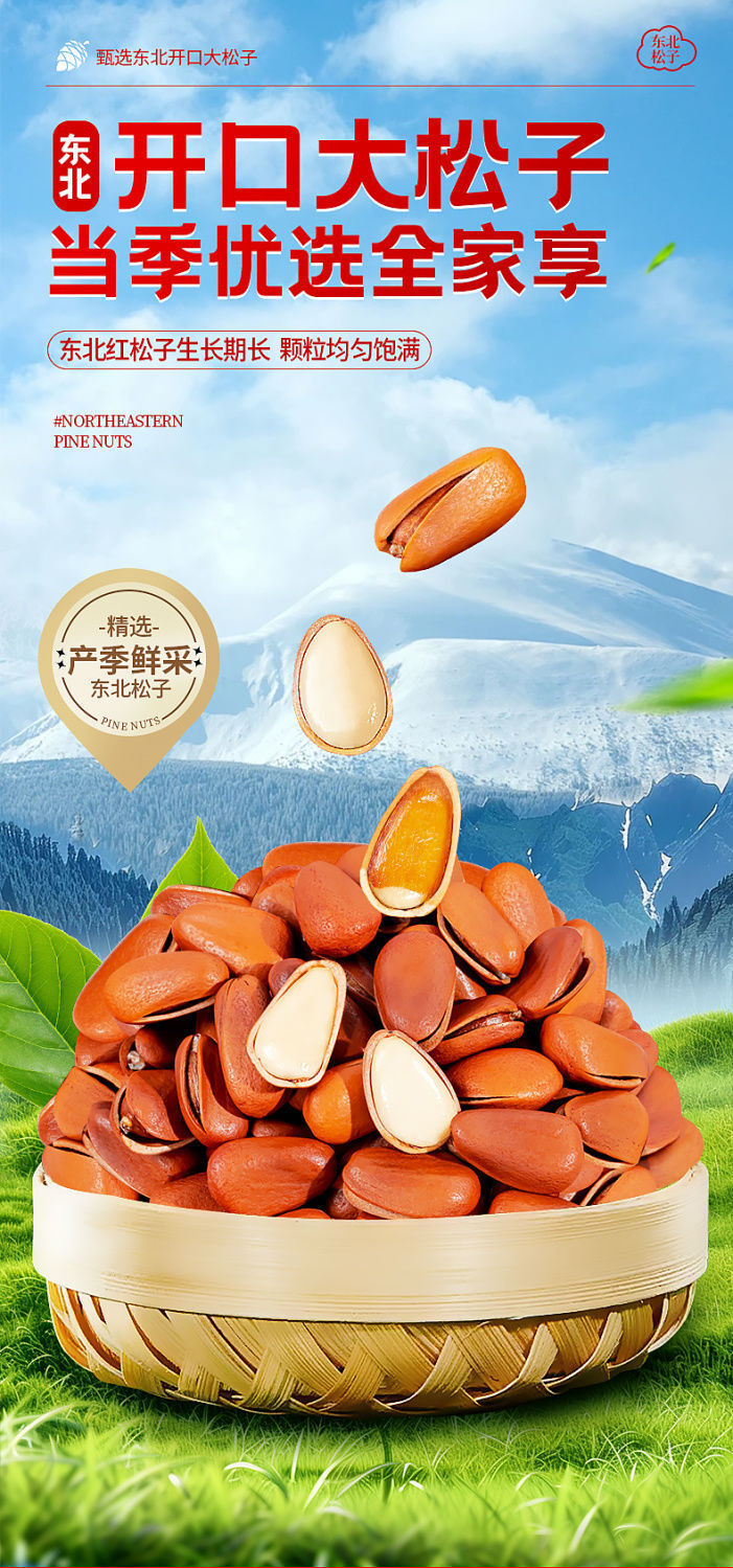 Premium Roasted Pine Nuts - Shelled Healthy Snack & Gift
