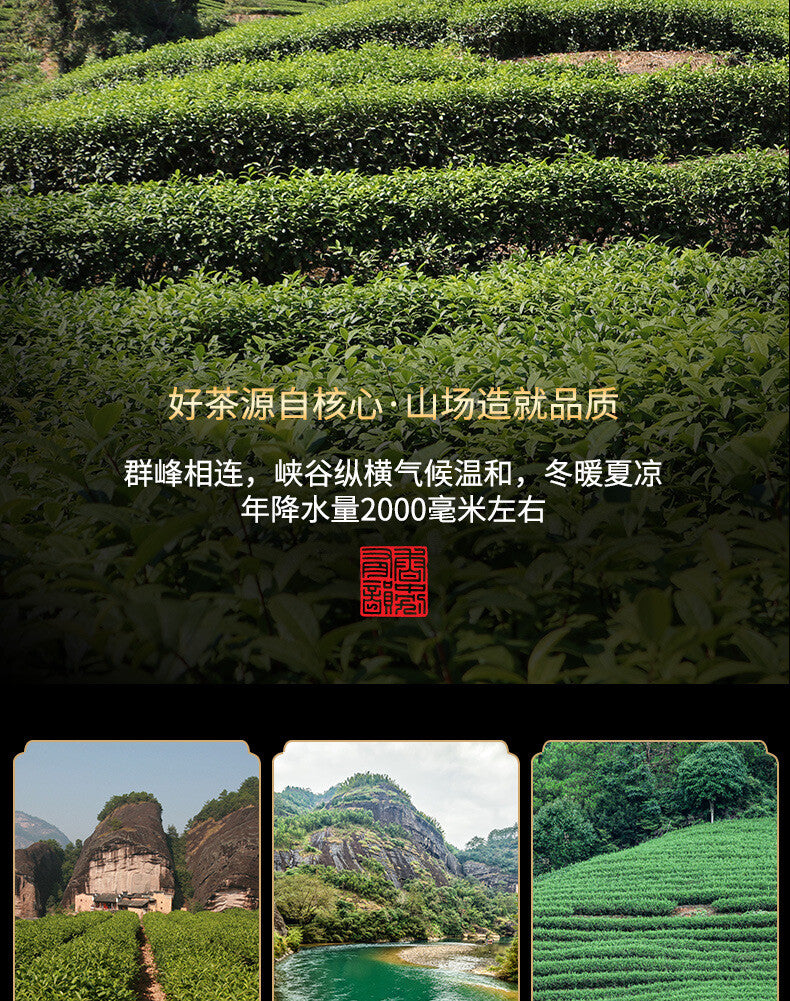 Bulk Oolong Tea 128g Fujian Wuyi Mountain Dahongpao Cinnamon Narcissus Tea