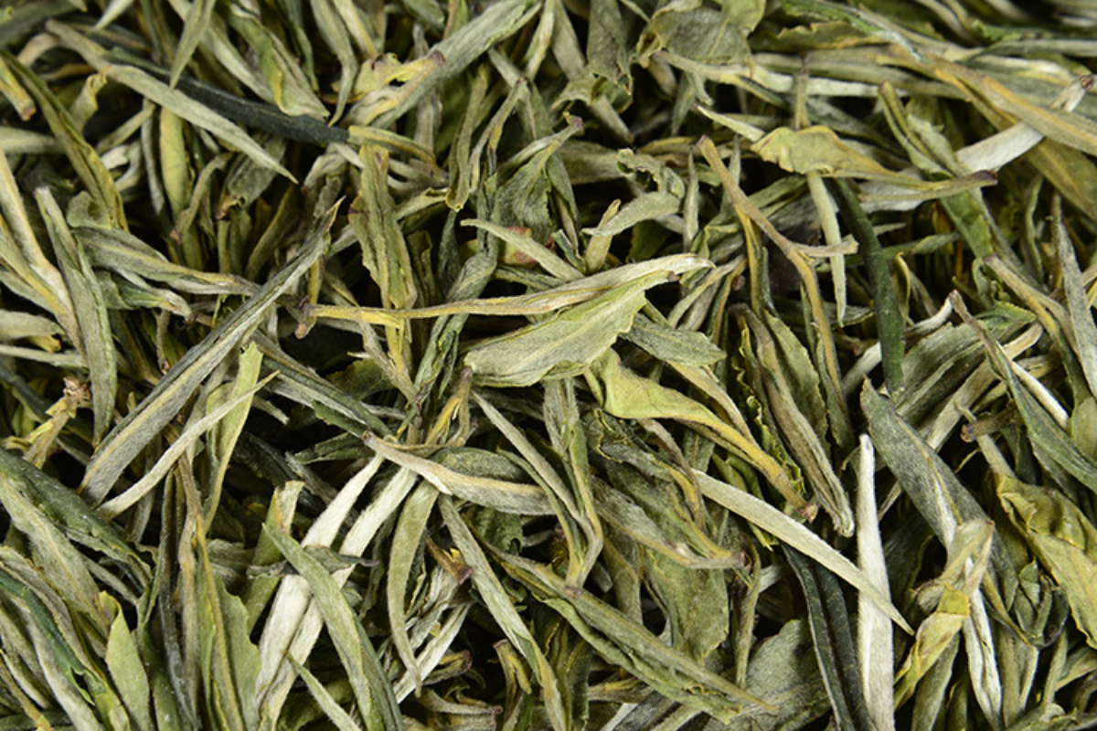 HelloYoung 500G Yunnan green needle green tea single bud strong aroma green tea straight