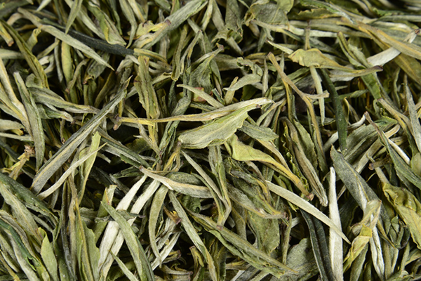 HelloYoung 500G Yunnan green needle green tea single bud strong aroma green tea straight