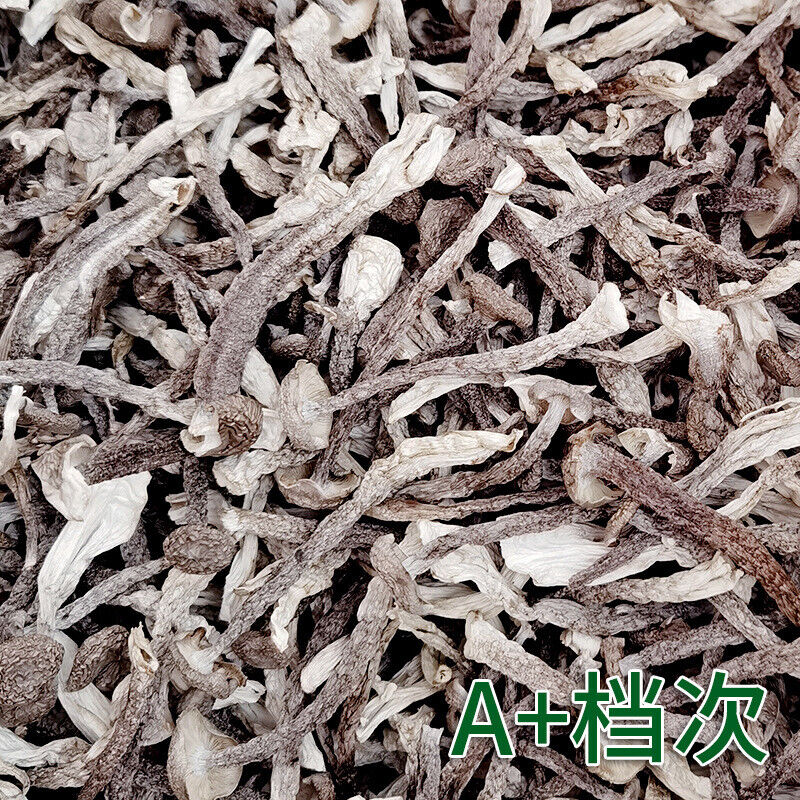 Premuim Deep Mount Edible Fungi Dried Velvet Mushroom Antler Mushroom 250g/8.8oz
