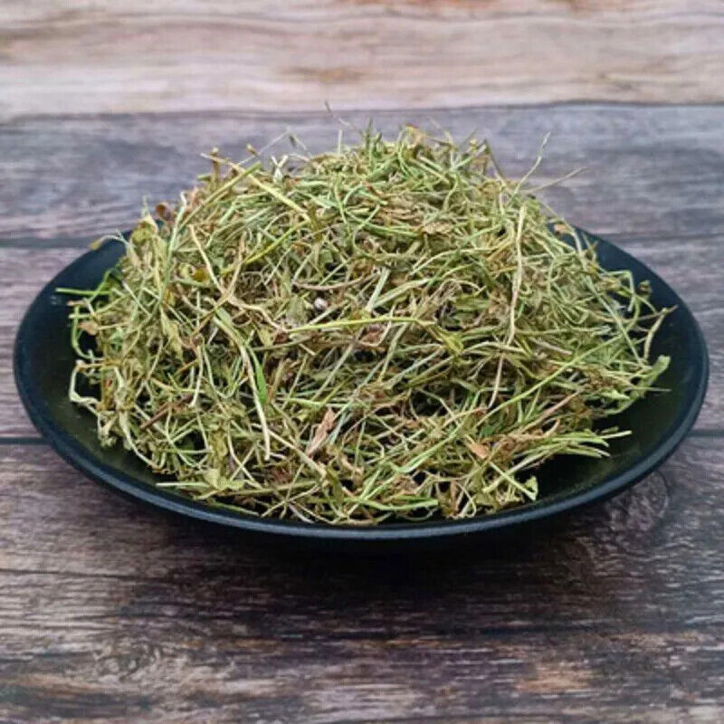 Lobelia Herb Dried c/s Lobelia inflata 500g Apothecary Herbal