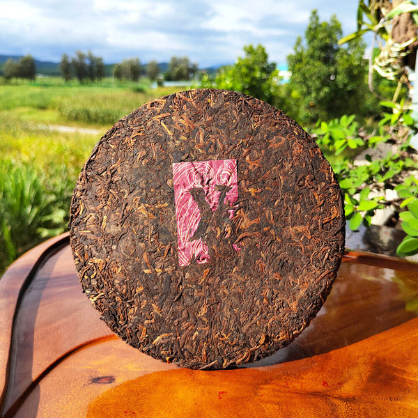 HelloYoung 普洱熟茶饼 宫廷金芽金针普洱茶 勐海布朗山老树茶叶批发厂家直销