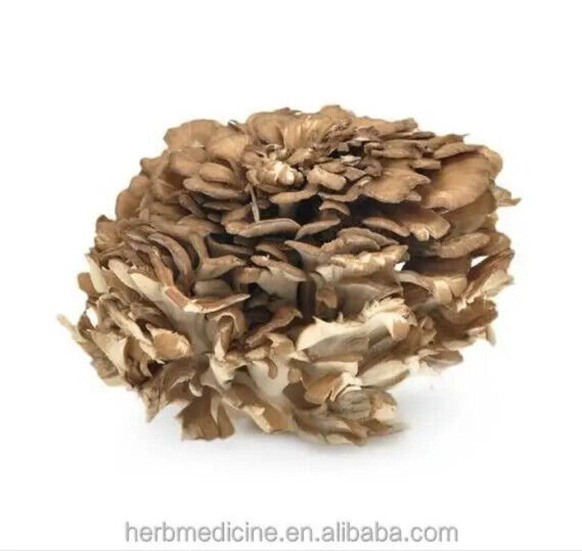 500g Natürliche getrocknete Maitake Nahrungsergänzungsmittel Grifola Frondosa Secondary image