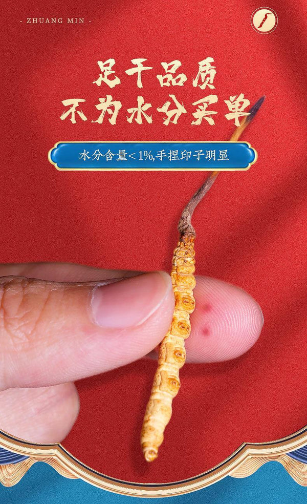 Cordyceps Sinensis Plump and Non-breaking Grass 4 Pieces/g Dong Chong Xia Cao