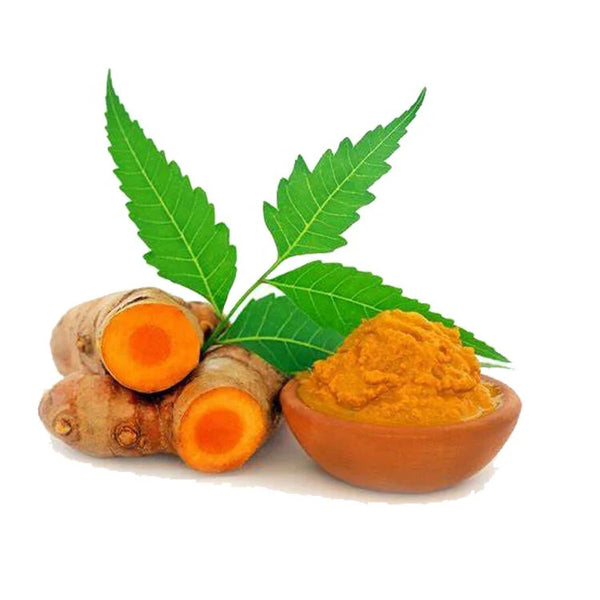 Dried Yellow Ginger Powder Pure Turmeric Powder Tender Ginger Powder