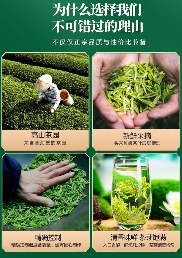 Longjing Green Tea First Flush250g Tin Packaged Fresh Mung Bean Aroma Spring Tea