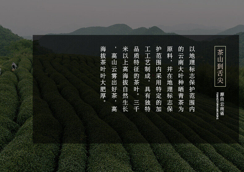 HelloYoung 357g Yunnan Tea Puerh Tea Wholesale Jingmai Golden Bud Puerh Ripe Pu'er Tea Cake