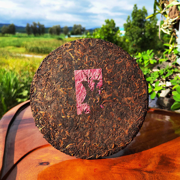 HelloYoung 普洱熟茶饼 宫廷金芽金针普洱茶 勐海布朗山老树茶叶批发厂家直销