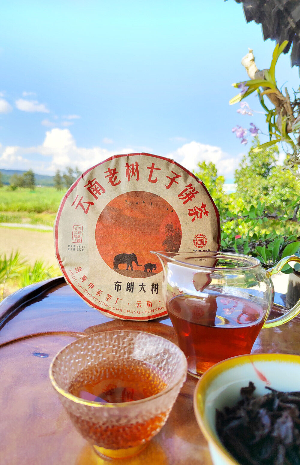 HelloYoung Puerh Ripe Tea Brown Mountain Ripe Tea Yunnan Seven Seed Cake Menghai Pu'er